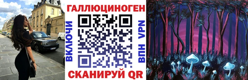 Псилоцибиновые грибы Psilocybine cubensis OMG маркетплейс Мегион