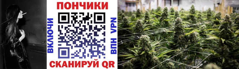 Конопля марихуана  Мегион 
